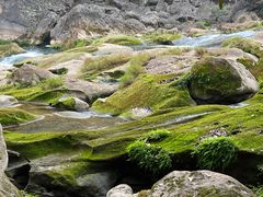 -黔府豆米火锅野菜馆(南马店)