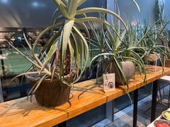 -半山腰·云南菜(侨福芳草地店)