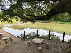 -福建土楼(南靖)景区