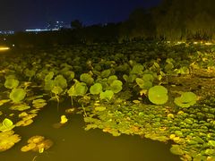 -长春市南湖公园