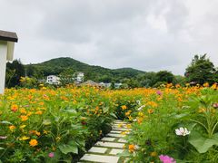 -乌石塘景区