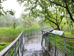 -西湖风景区-江洋畈生态公园