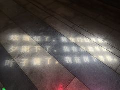 -映月湖中央公园