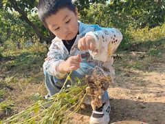 -大连北马山庄