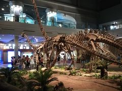 -自贡恐龙博物馆