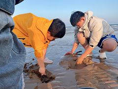 -日照海滨国家森林公园