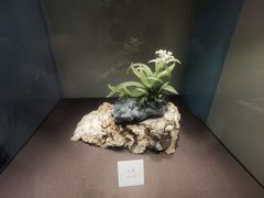 -大连自然博物馆