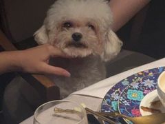 -虹之森·小馆