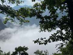 -陕西省红河谷森林公园