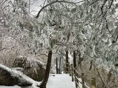 -洛阳白云山景区