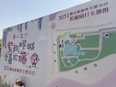 -嘉定紫藤园