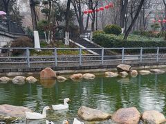 -莲湖公园