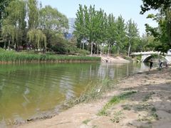 -大兴滨河森林公园