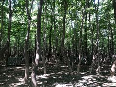 -亲兄弟真人CS团建拓展基地