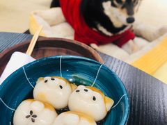-逗柴咖啡屋·狗咖猫咖宠物桌游