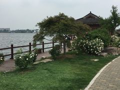 -鹅湖玫瑰文化园