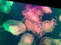 -成都浩海立方海洋公园