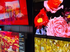 -顺电sundan(颐堤港店)