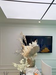 -YESIDO椰岛美容