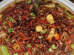 -潍城老菜馆·地标美食