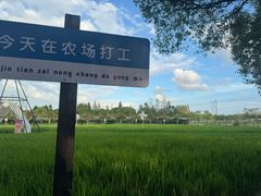 -金稼园·金平湖农家菜