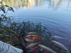 -茵特拉根酒店·西餐厅