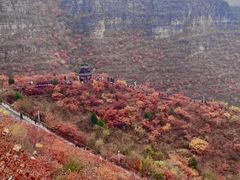 -狼牙山风景区