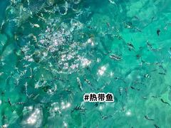 -三亚西岛海洋文化旅游区