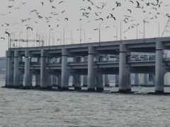-黑石礁公园