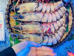 -南海渔村(珠江新城店)