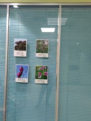 点击看大图 -北京惠民中医儿童医院