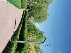 -鄂尔多斯野生动物园