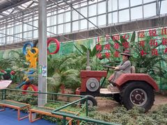 -兰陵国家农业公园