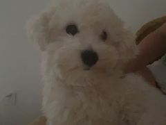 -庆丰包子铺(潘家园店)