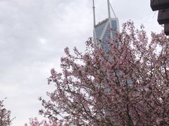 -人民公园-相亲角