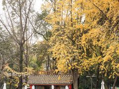 -成都市活水公园