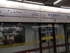 -东方体育中心(地铁站)
