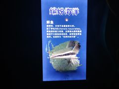 -南昌融创海世界