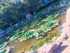 -北戴河东海水浴场