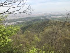 -紫金山山顶公园