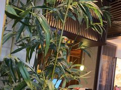 -老头儿油爆虾(星光一期店)