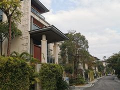 -广州市流溪河国家森林公园