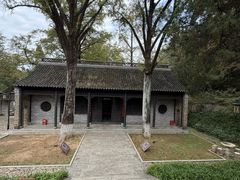 -镇江市南山风景名胜区竹林景区