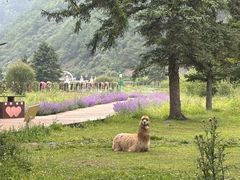 -九寨沟爱情海景区