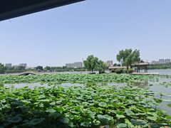 -济南大明湖景区