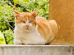 -狼山风景名胜区