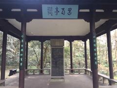 -西湖风景区十里琅珰-五云山