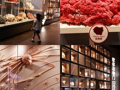 -中国湿地博物馆