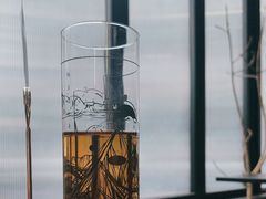 -MEDISN·药厂
