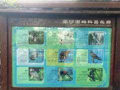 -大湾区中央湿地公园